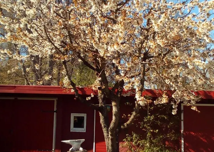 Petersdorfer Casa vacanze *